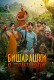 Бишарашки в Таиланде (2024)